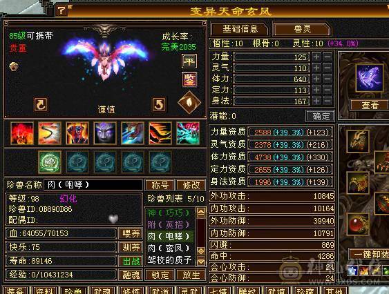 温暖推荐-极限6天山-4修-6神-裸面板！