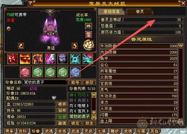 温暖推荐-极限6天山-4修-6神-裸面板！