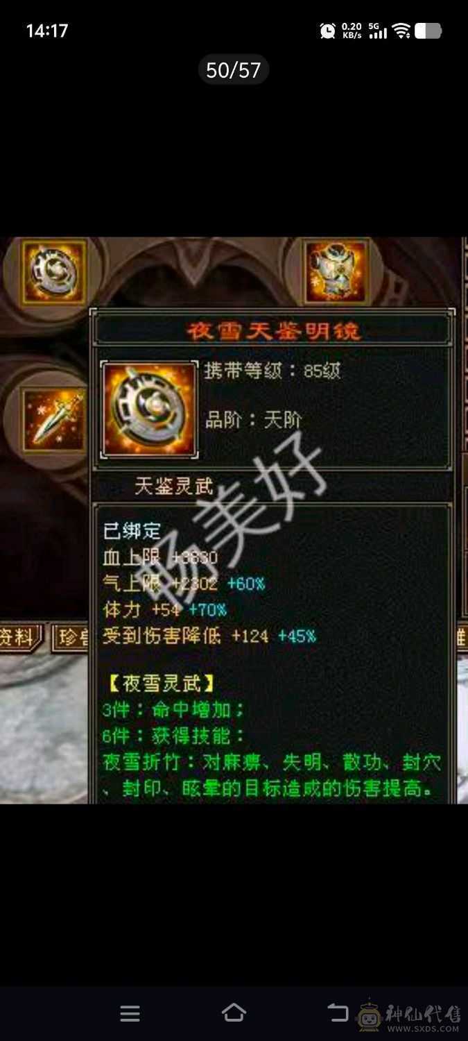 6级气武当  神兽5神一万多点了  仓库一块6体6冰属性6身法 的2个5减抗不怕出新装备 校场很猛