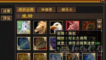 星辰推荐 6属暴力三修星宿 八星可解绑护符  10级盟会   绝版时装幻世  魂录基本都是稀有色  