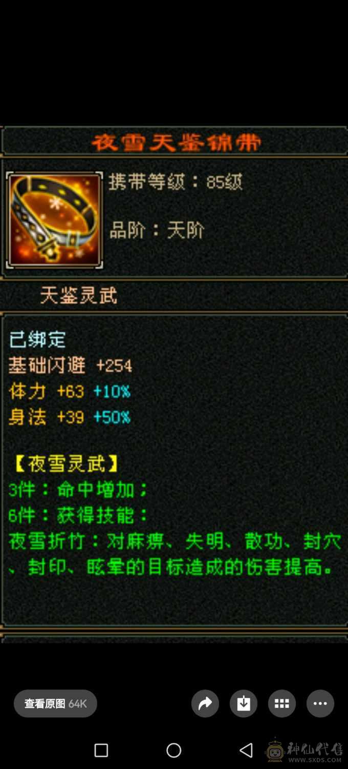 5体5属
