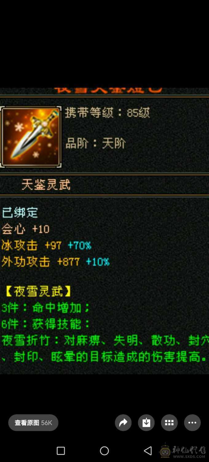 5体5属