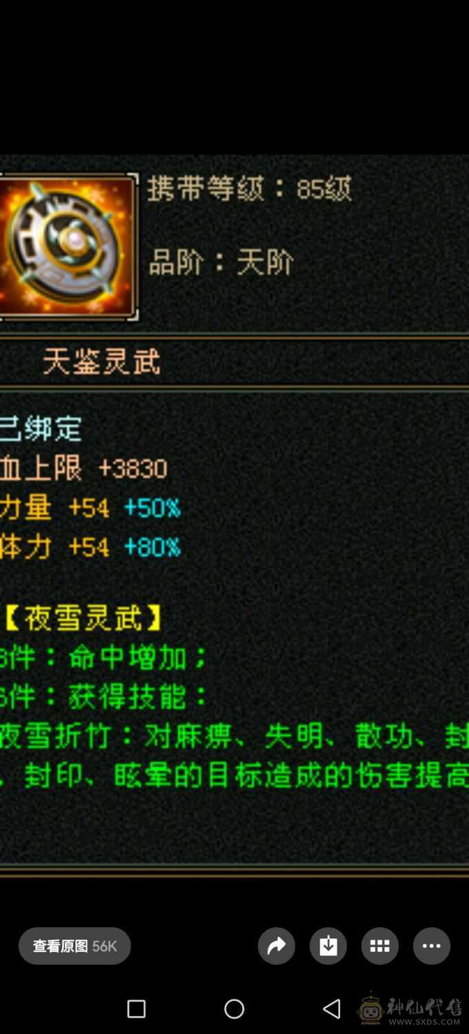 5体5属