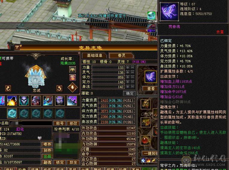 细节6神增伤拉满