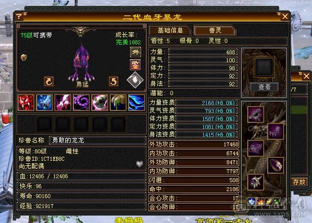 五体五属性，双休，双坑，