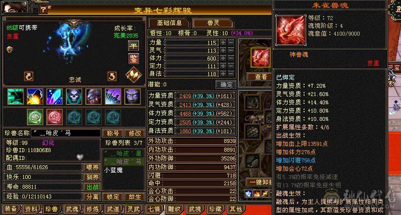 五体五属性，双休，双坑，