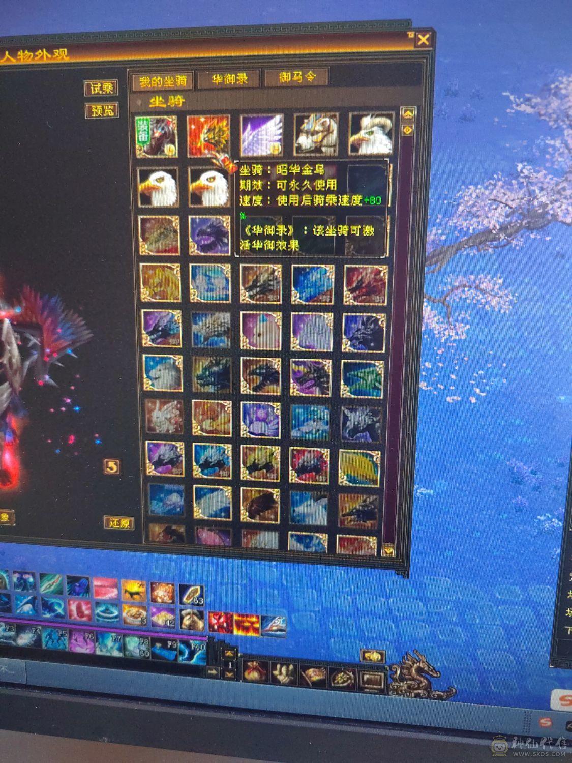 极品满六TS，7200属，永久坐骑，两件断桥，别的自己看