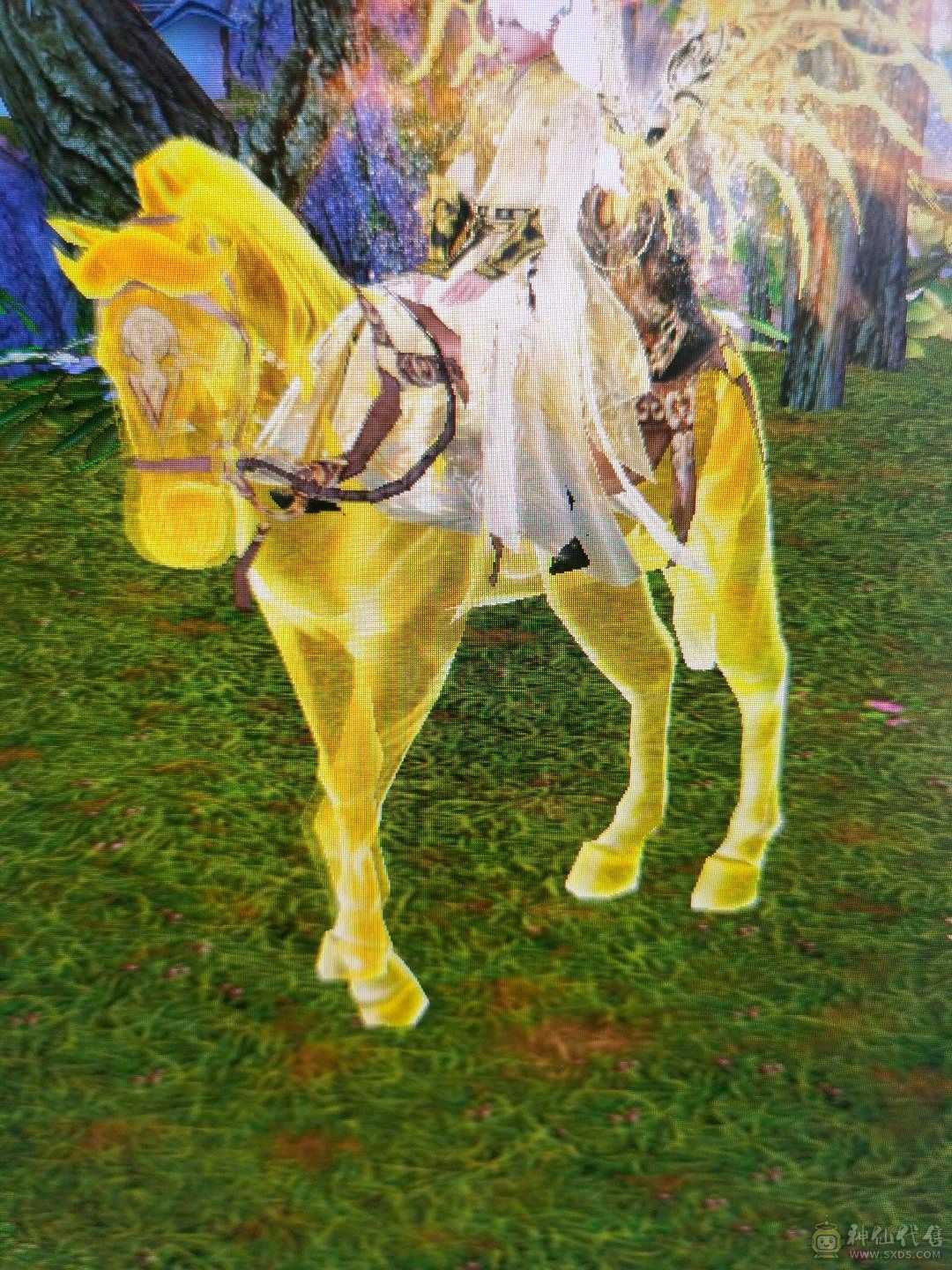 米久推荐 马年金马，卡级组唯一一个金色地宫马 带断桥有个7 曼陀版本答案，带同护额外增加伤害，夜雨等稀有时装 各种四级配饰 带稀有金骨翼  金银剑匣  各种外观拉满 坐骑衣服一套金色  诚出可聊