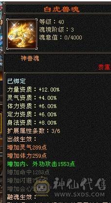 芬达🥇推荐：6神兽6橙色 周年庆红熊王 骨翼外观 4级时装配饰  血量高达60w 双10盟会 带5个7级新雕文 平推2W+ 3杂抗