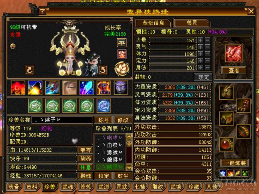 6体6属高减无敌丹金箍棒，一身顶变稀有宝宝