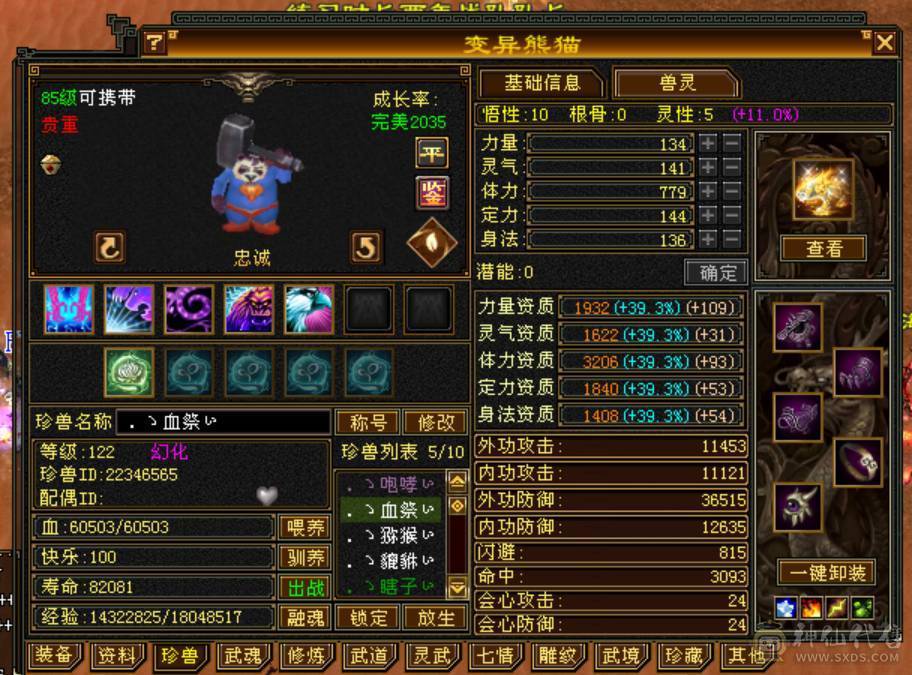 6体6属高减无敌丹金箍棒，一身顶变稀有宝宝