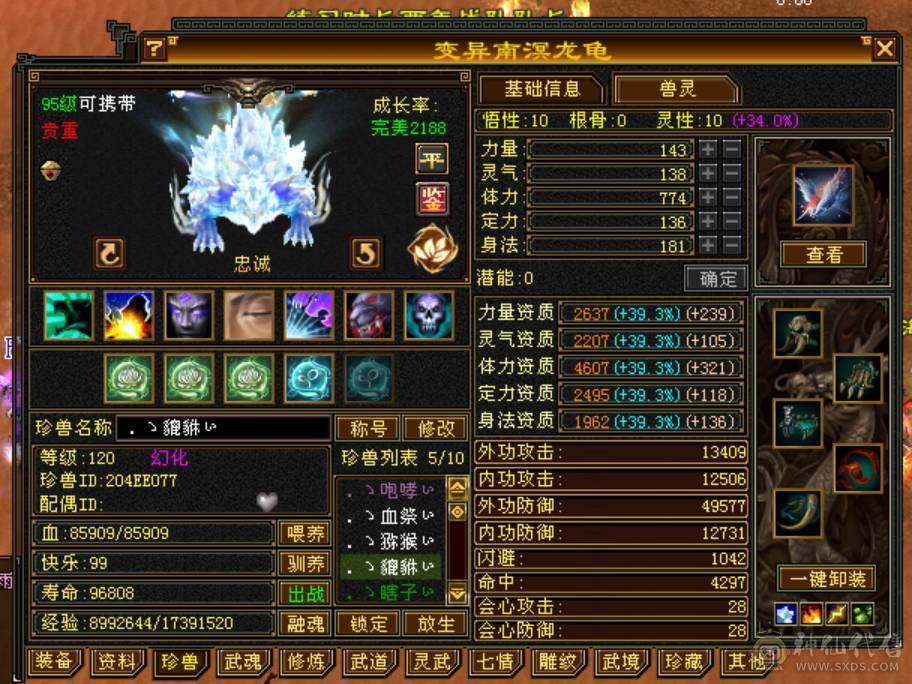 6体6属高减无敌丹金箍棒，一身顶变稀有宝宝