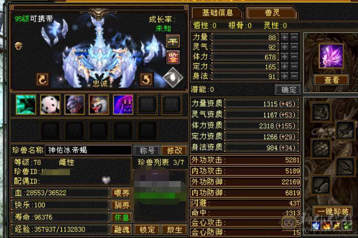 便宜不是我的错。带6属6体，651高减抗，激情四射%