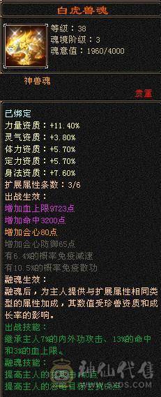 副本无压力-盟会7-永久坐骑熊