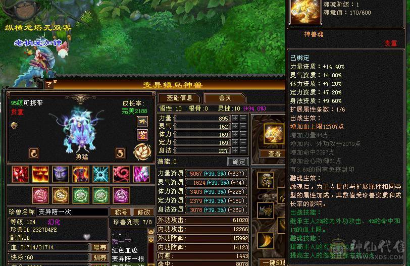 6级逍遥   8雕7精绘