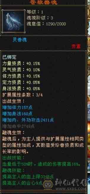 暴力天山5带4的号喜欢可以购买