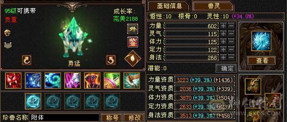 无敌丹6天山-打架秒人嘎嘎猛-持续更新中-上升空间大