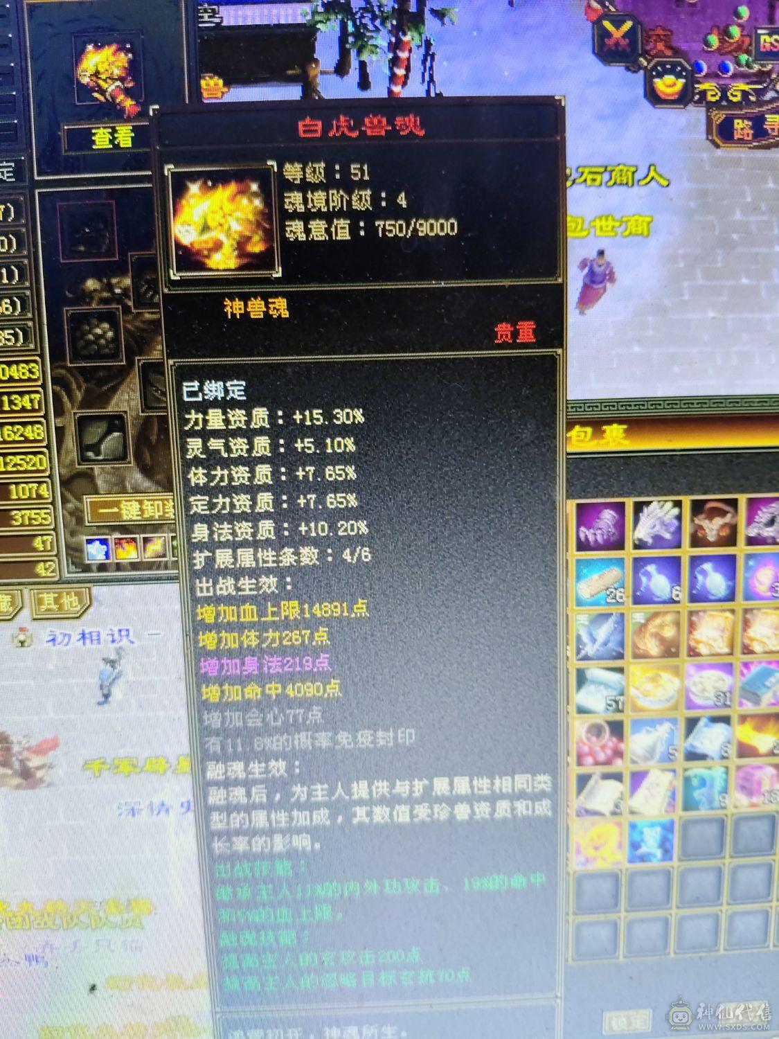 满六体半六属全七带八雕，绝版衣服了绝版幻视带带4400宝宝