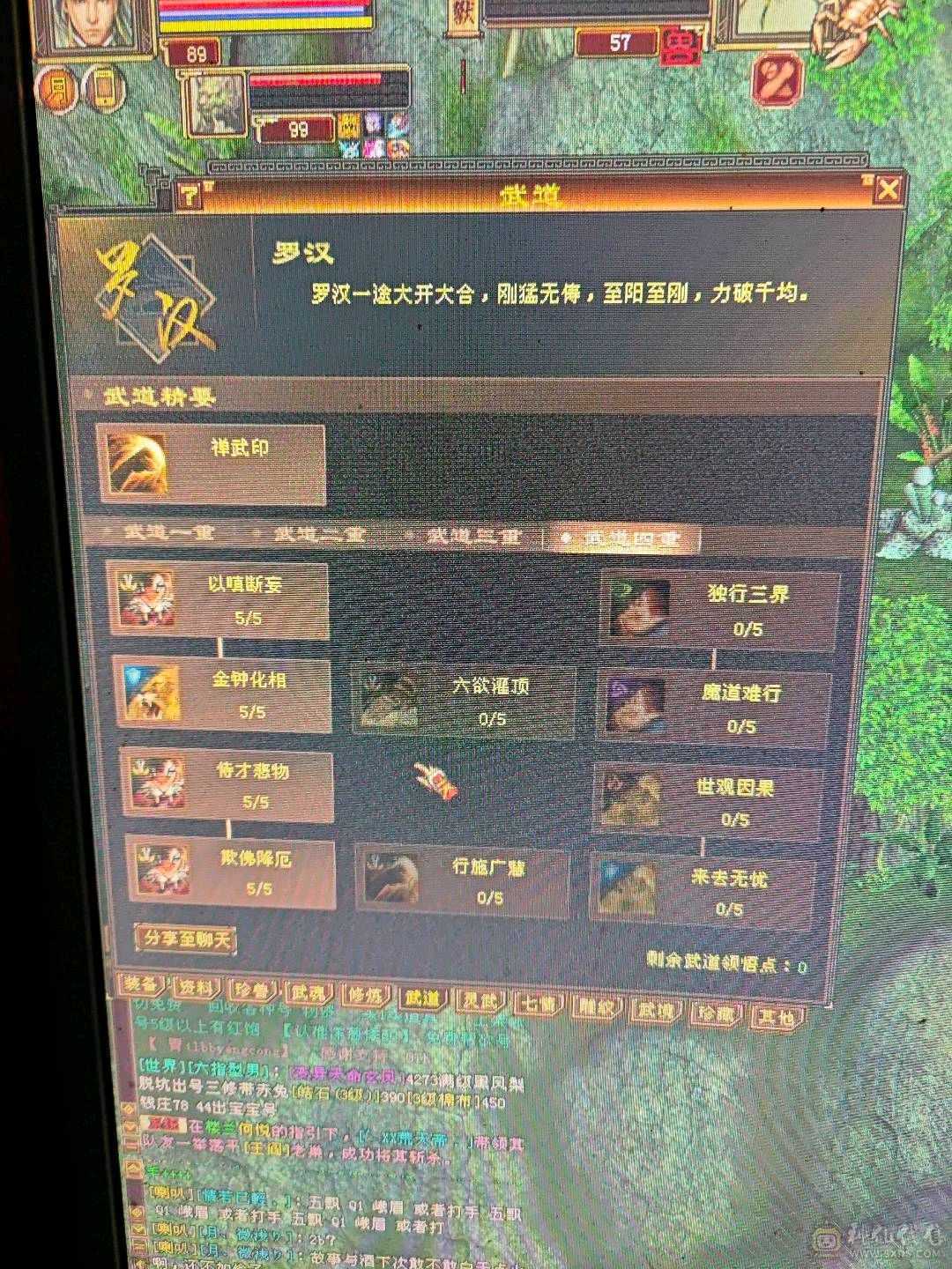 四修少林，伤害爆炸，带4600附体和拼命10宝宝