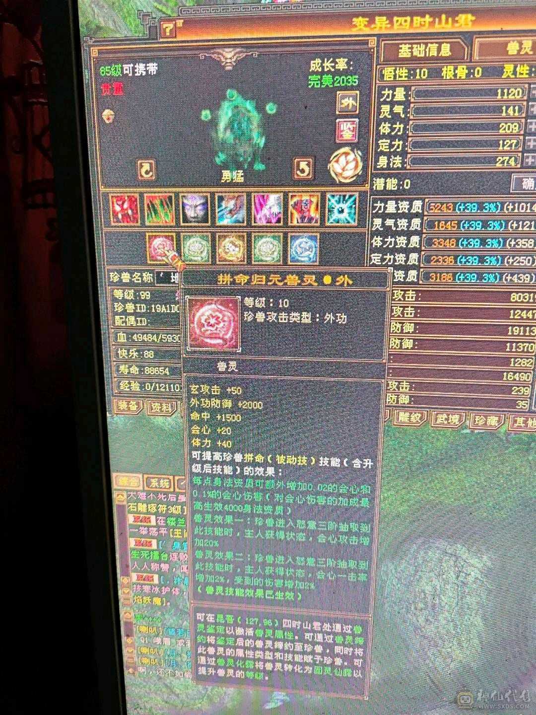 四修少林，伤害爆炸，带4600附体和拼命10宝宝