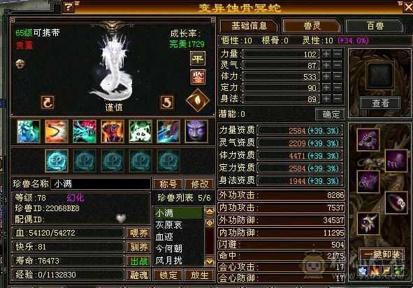 6级少林，稀有幻视时装，花榜宝宝