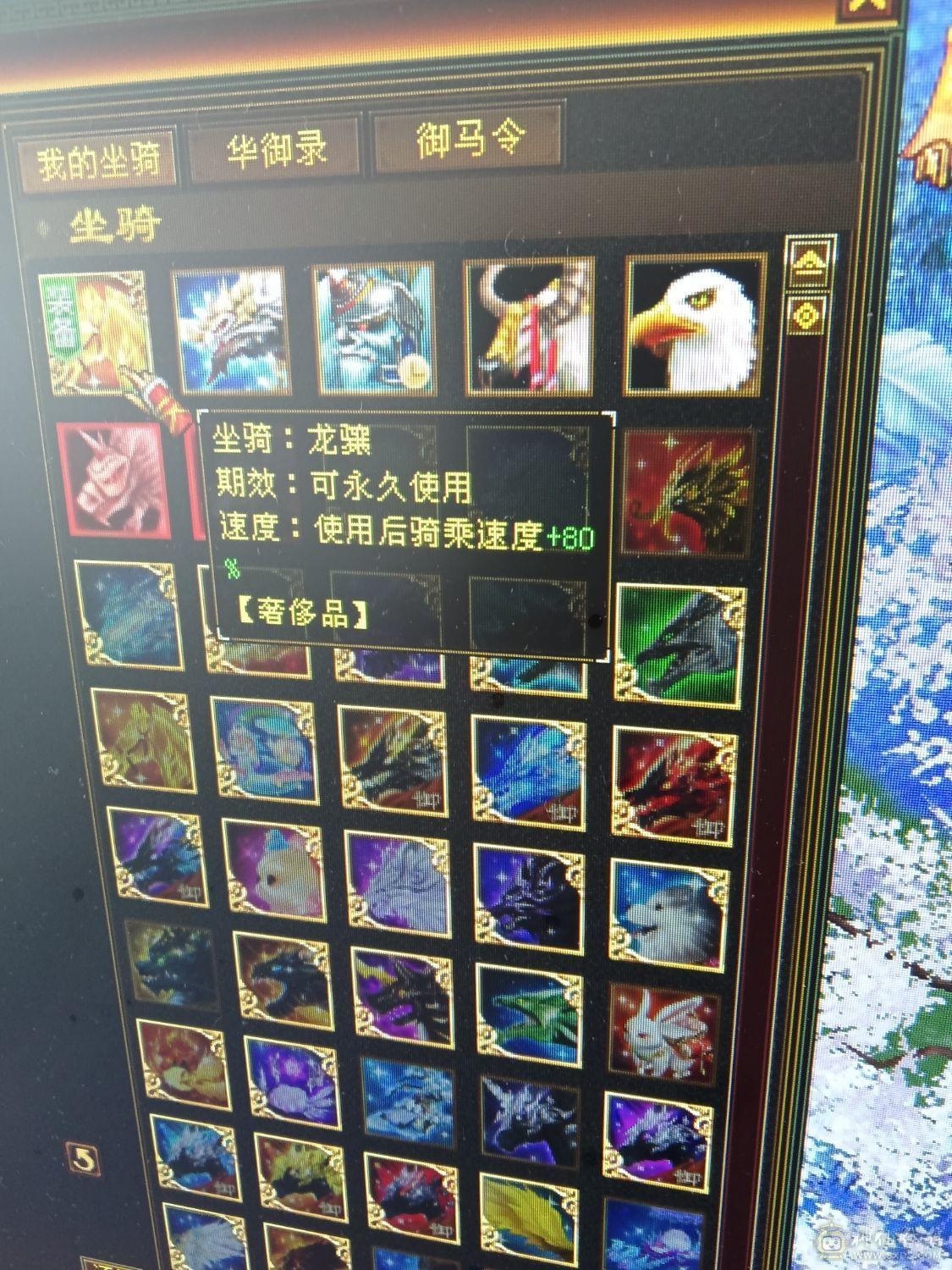 7体7属性 6神1000++火炕 火毒双下限   带黄金宝马 能抗 能打 喜欢的来  可以火毒冰3修  可以 火玄双抗