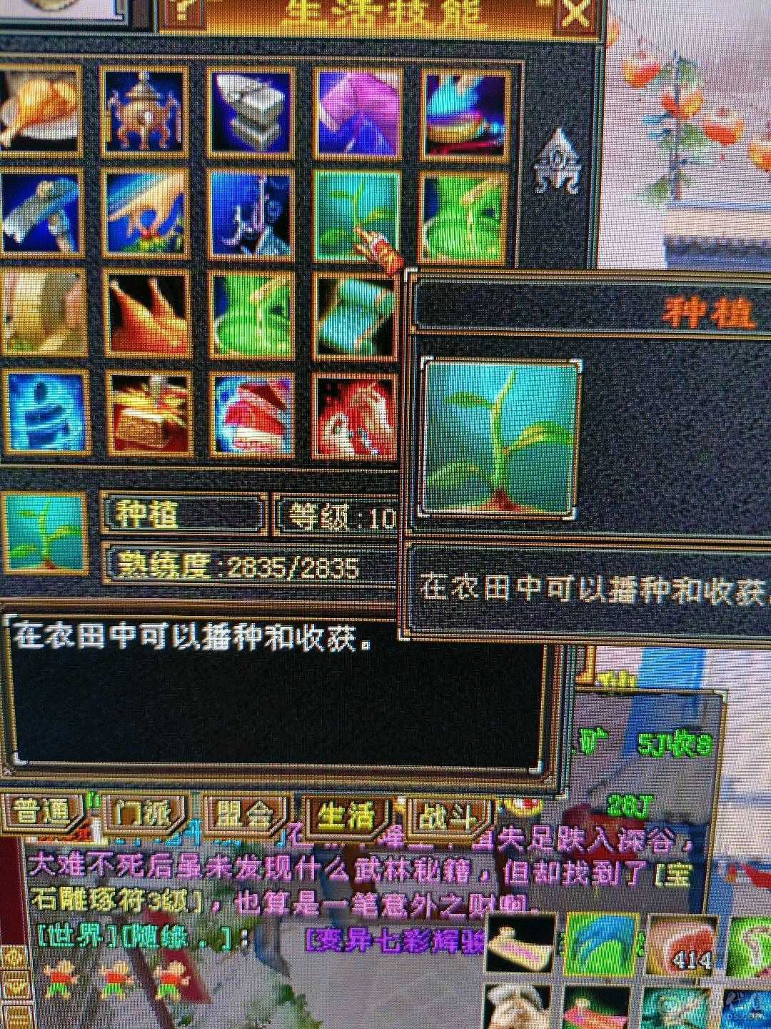 跟新图片，不带内功宝宝1100元整—5体5属性副本星宿10矿10地生活首选