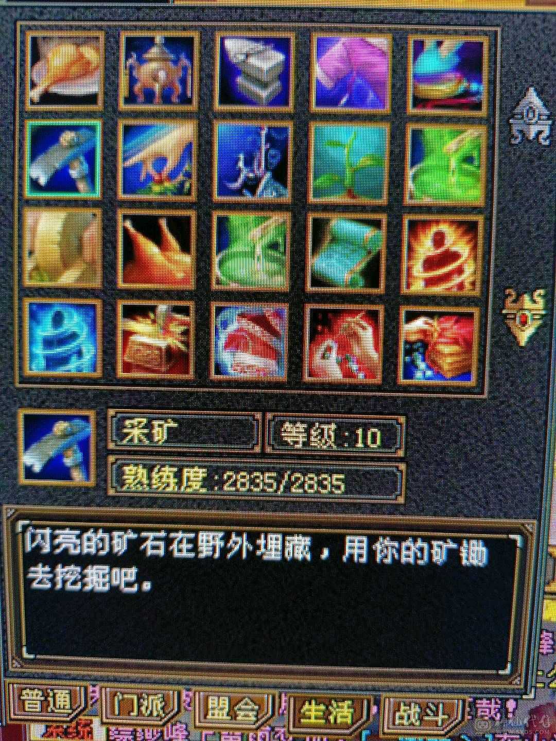 跟新图片，不带内功宝宝1100元整—5体5属性副本星宿10矿10地生活首选