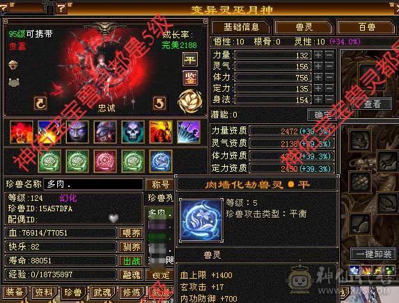 6体8雕毒抗峨眉带横波