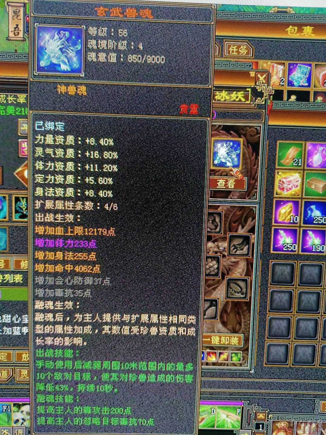 跟新图片，不带内功宝宝1100元整—5体5属性副本星宿10矿10地生活首选