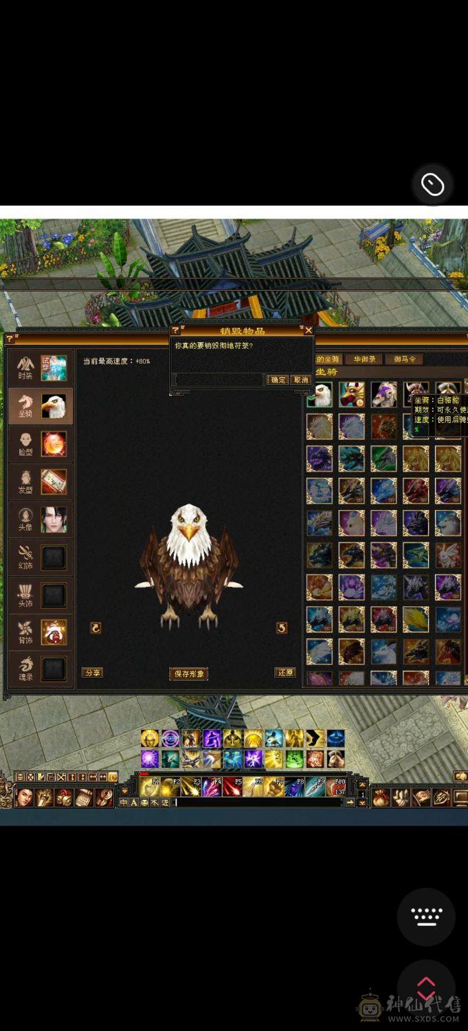 极品宝宝！退游全带 