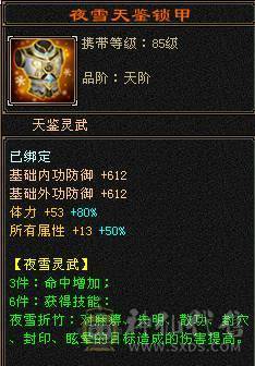 🍎余生推荐🍎大八星装备+7雕文，新精会更新+永久坐骑