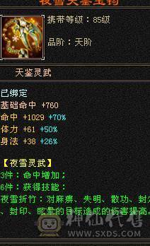 🍎余生推荐🍎大八星装备+7雕文，新精会更新+永久坐骑