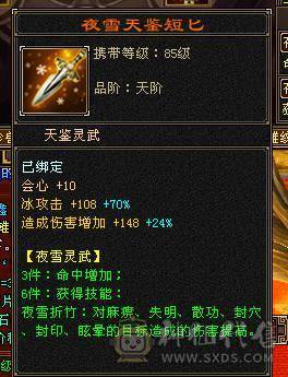 🍎余生推荐🍎大八星装备+7雕文，新精会更新+永久坐骑