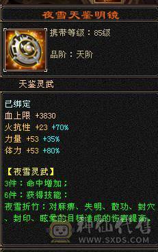 🍎余生推荐🍎大八星装备+7雕文，新精会更新+永久坐骑