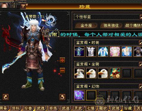 🍎余生推荐🍎大八星装备+7雕文，新精会更新+永久坐骑