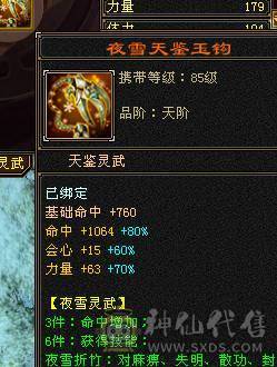 🏅🏅予予推荐：极限5天山   4级配饰  双十盟会     50万血  5.9w命中   541会心