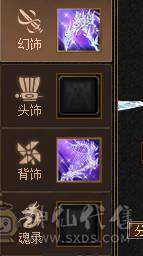 满5雕4带5双修冰和毒恶人谷带永久时装和幻视，5荒5紫