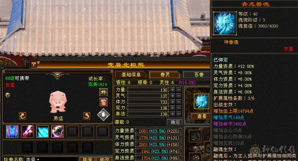 限时特价一天 砍价勿扰 6T6属三修天山