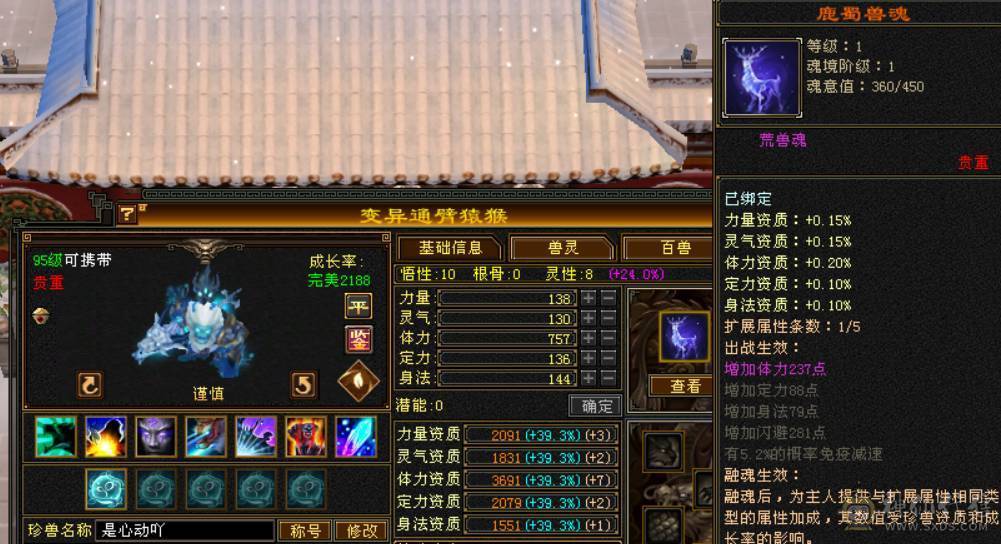 限时特价一天 砍价勿扰 6T6属三修天山