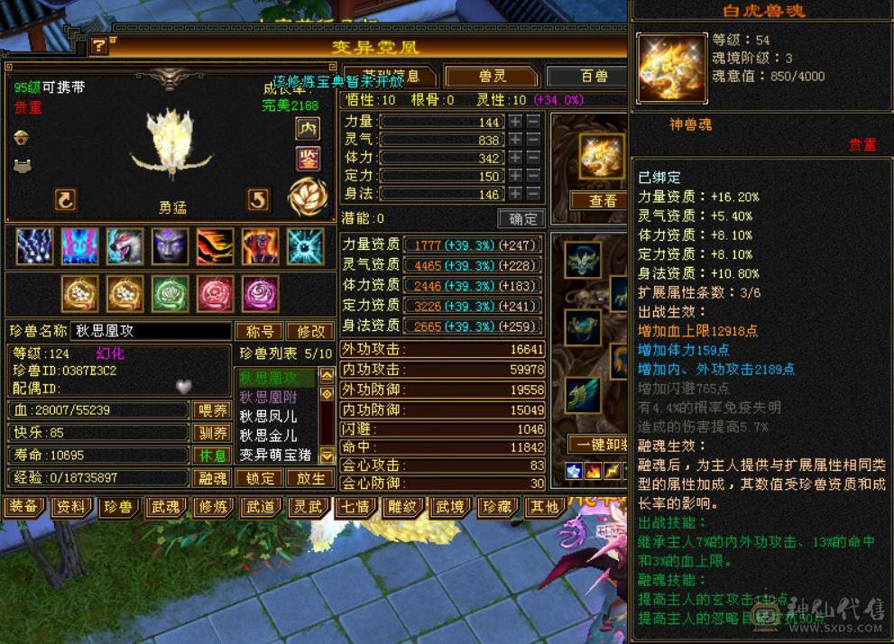 （梳子推荐）花榜时装  多套时装幻视  8星深蓝装备