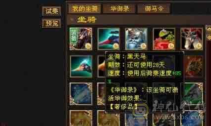 副本滴神 细节号437会心 3个双10 带7套永久时装