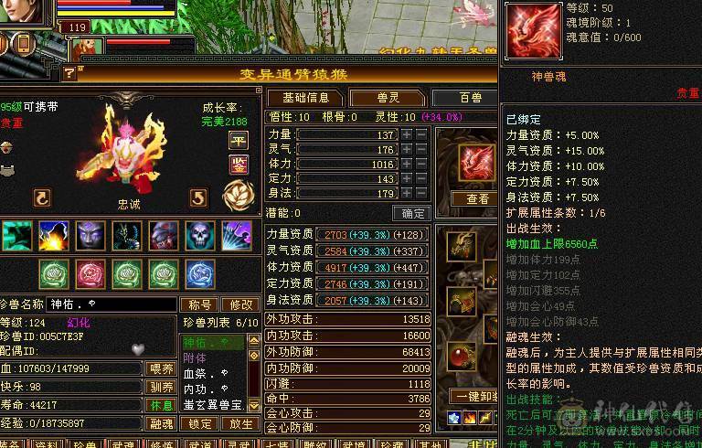 彭于晏推荐：7766星宿，全带底价处理