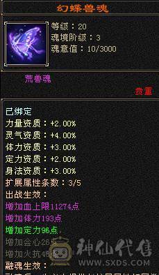 高命中会心  满5减三修暴力天山，大完美武魂，顶级外观赤兔红仙侣夜雨潇湘，多个3级幻视，带4500附体