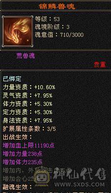 高命中会心  满5减三修暴力天山，大完美武魂，顶级外观赤兔红仙侣夜雨潇湘，多个3级幻视，带4500附体