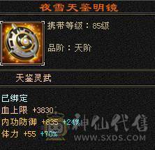 高命中会心  满5减三修暴力天山，大完美武魂，顶级外观赤兔红仙侣夜雨潇湘，多个3级幻视，带4500附体