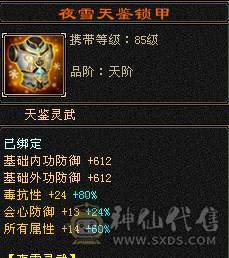 高命中会心  满5减三修暴力天山，大完美武魂，顶级外观赤兔红仙侣夜雨潇湘，多个3级幻视，带4500附体