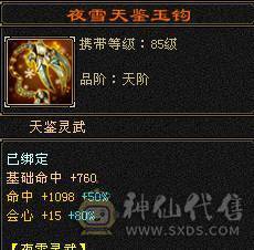 高命中会心  满5减三修暴力天山，大完美武魂，顶级外观赤兔红仙侣夜雨潇湘，多个3级幻视，带4500附体