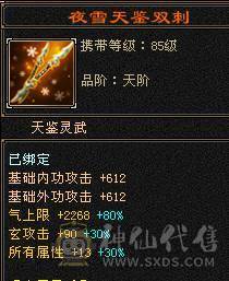 高命中会心  满5减三修暴力天山，大完美武魂，顶级外观赤兔红仙侣夜雨潇湘，多个3级幻视，带4500附体