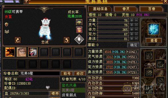 真极限 无弱点